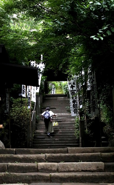 杉本寺の石段