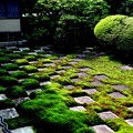 東福寺の苔の庭園３