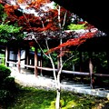 東福寺回廊風景