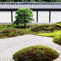 Photos: 東福寺の庭園２