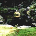 Photos: 三千院の池の庭園