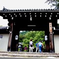 Photos: 実相院の門