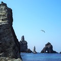 Photos: 絶海の孤島 Liancourt Rocks