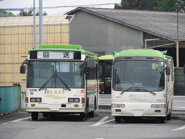 【茨城急行自動車】 5236号車と3028号車