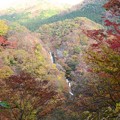 Photos: 紅葉の日光霧降の滝