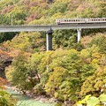 秋色の野岩鉄道線　東武6050系