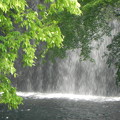 新緑の奥の滝