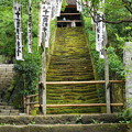 180911_60_苔の階段・S1650・α60(杉本寺)