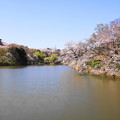190402_11M_スローで桜を・S18299(三つ池) (66)