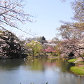 190402_11M_スローで桜を・S18299(三つ池) (77)