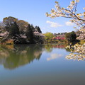190402_11M_スローで桜を・S18299(三つ池) (98)
