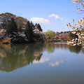 190402_11M_スローで桜を・S18299(三つ池) (103)