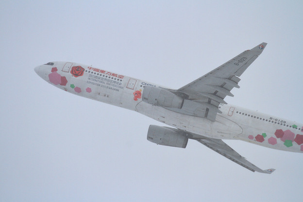 A330 東方航空 B-6129 takeoff時は雪