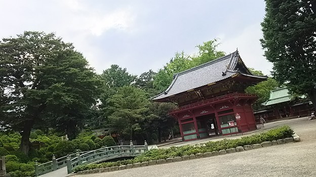 Photos: 根津神社