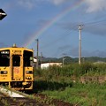 虹とゾンビランドサガラッピング列車