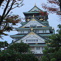 大阪城と紅葉