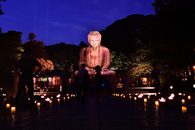 撮って出し。。長谷灯り 鎌倉大仏ライトアップ 8月26日