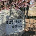 Photos: 099 日立市・十王町合併記念碑